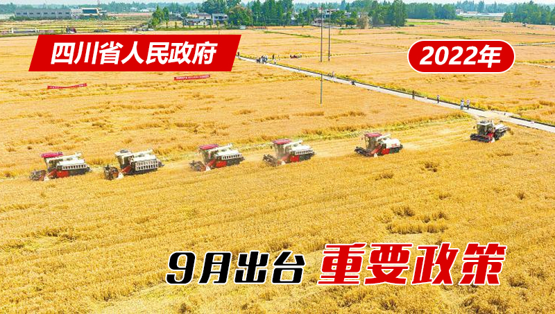 政策回顾:四川省人民政府2022年9月出台重要政策「相关图片」 政策回顾:四川省人民政府2022年9月出台重要政策「相关图片」
